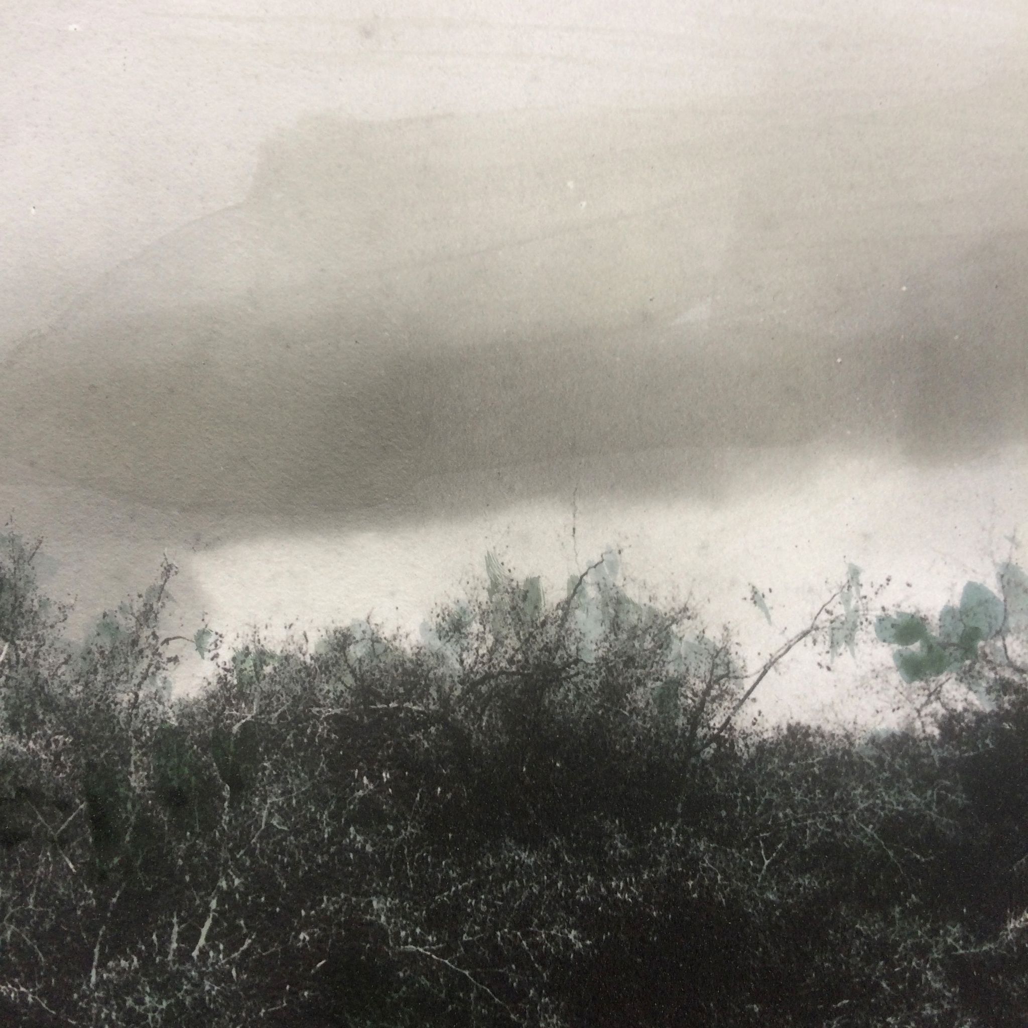 Photographie la Mare tirage noir et blanc rehaussé vers 1900