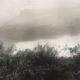 Photograph the Mare black and white print enhanced around 1900