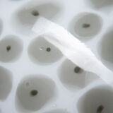 Lampe en verre de Murano La Murrina années 1960 Italien