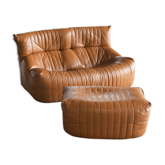 Aralia sofa and ottoman by Michel Ducaroy for Ligne Roset