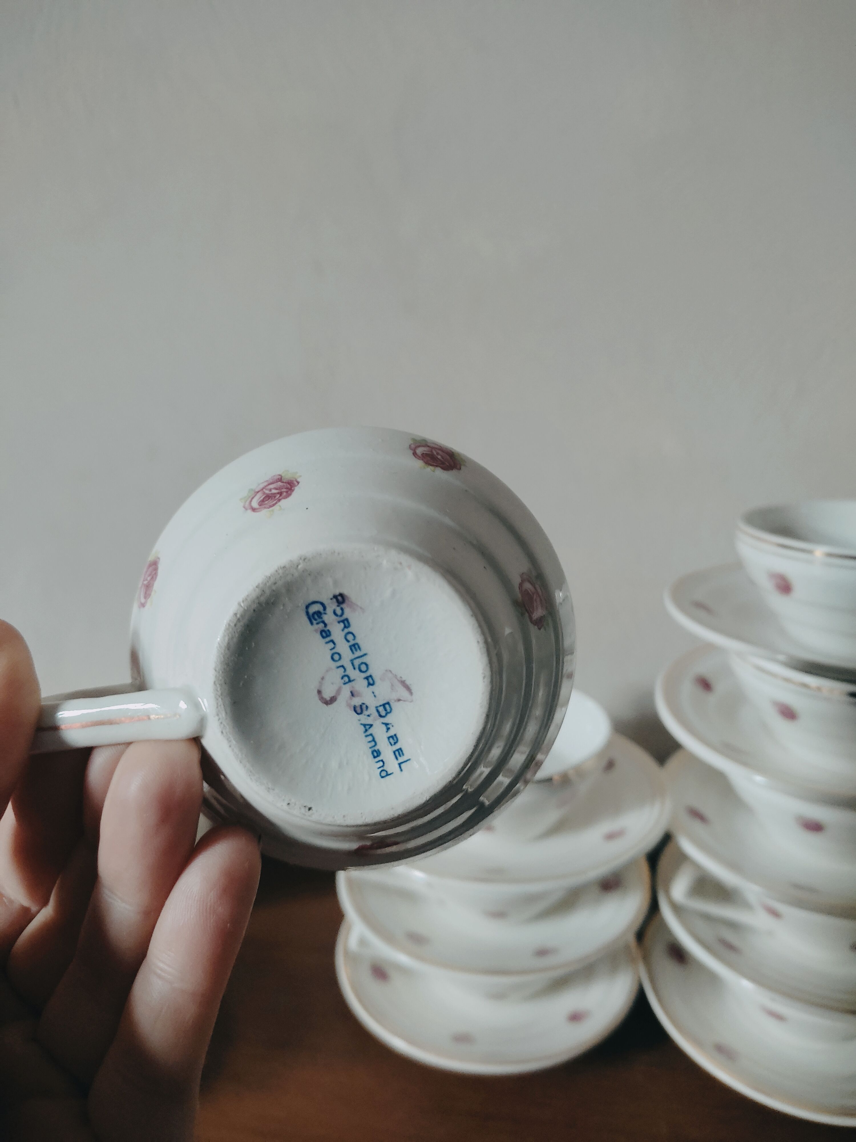 Coffee or tea set in Earthenware St Amand