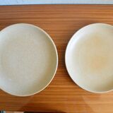 Lot of 5 flat plates in sandstone