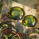 Pair of vintage German tropical fish lacquered catchalls.