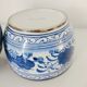 Pot couvert en porcelaine chinoise bleu et blanc