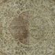 Turkish Anatolian Handmade Vintage Rug 270 cm x 168 cm