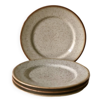 Set of 4 speckled flat plates