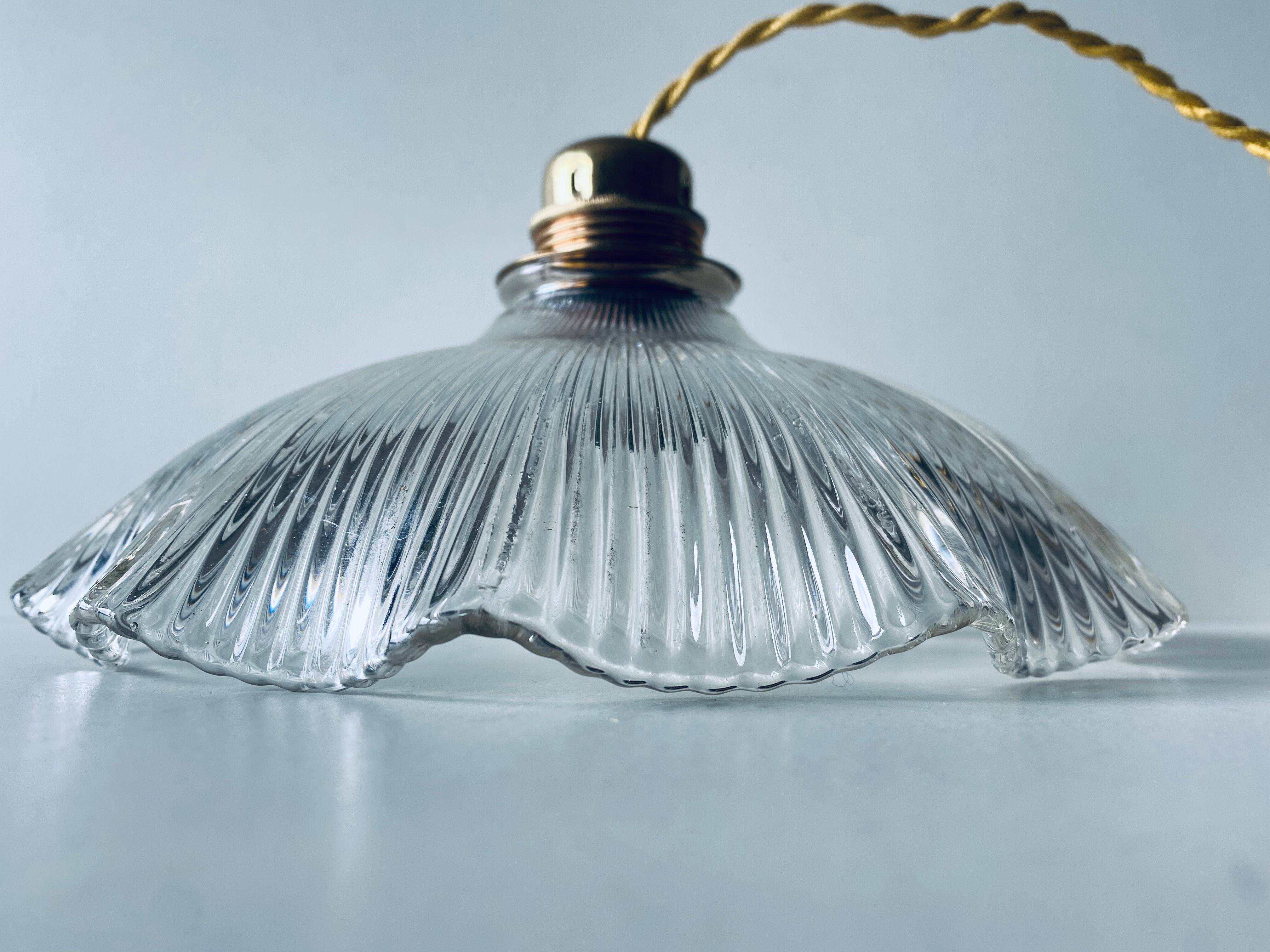 Ancient Holophane suspension