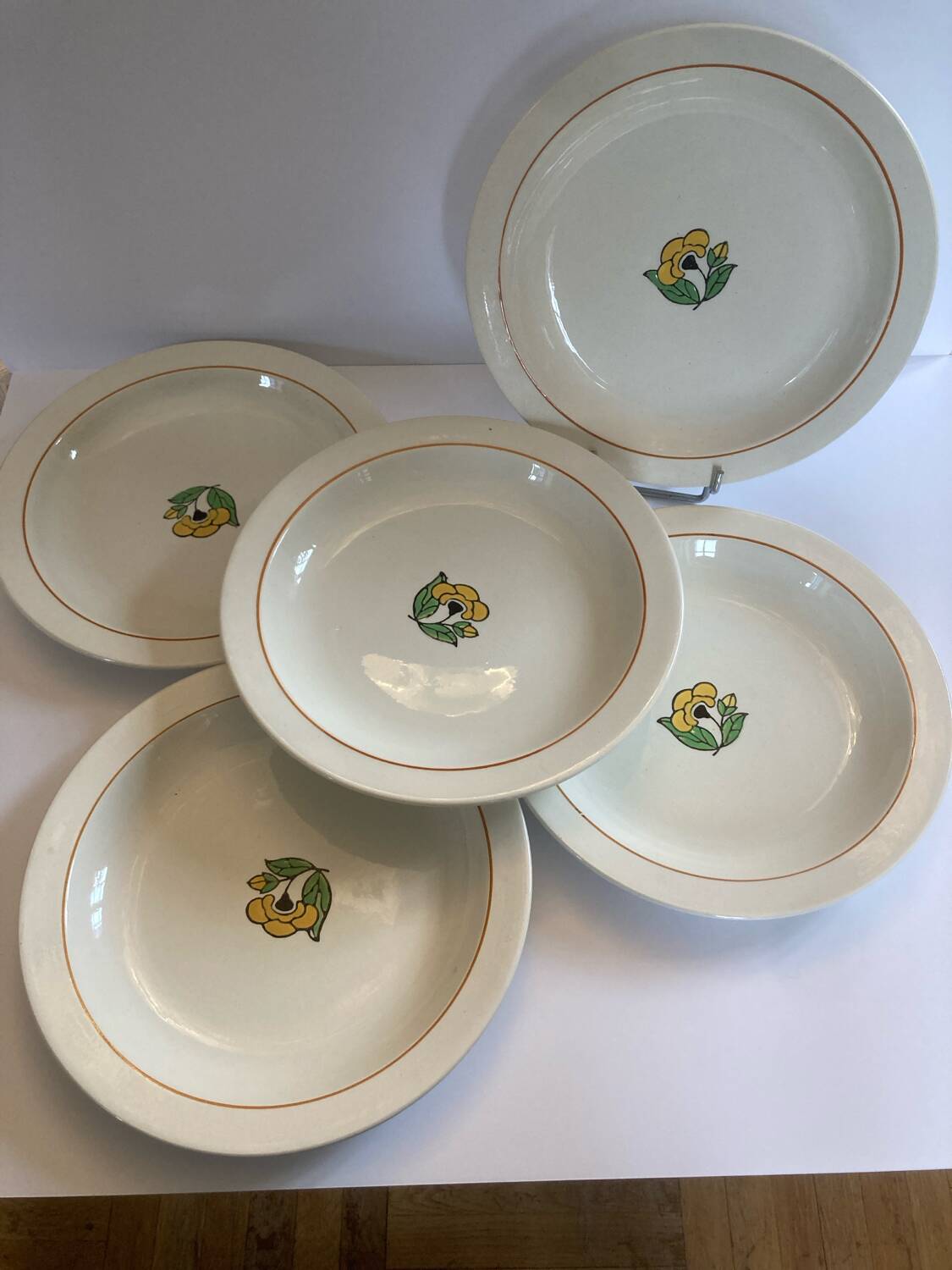 Lot 11 assiettes salins terre de fer