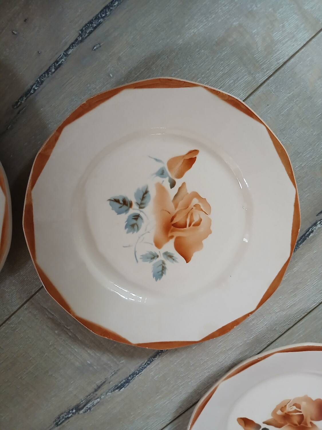 6 old Digoin and Sarreguemines dinner plates