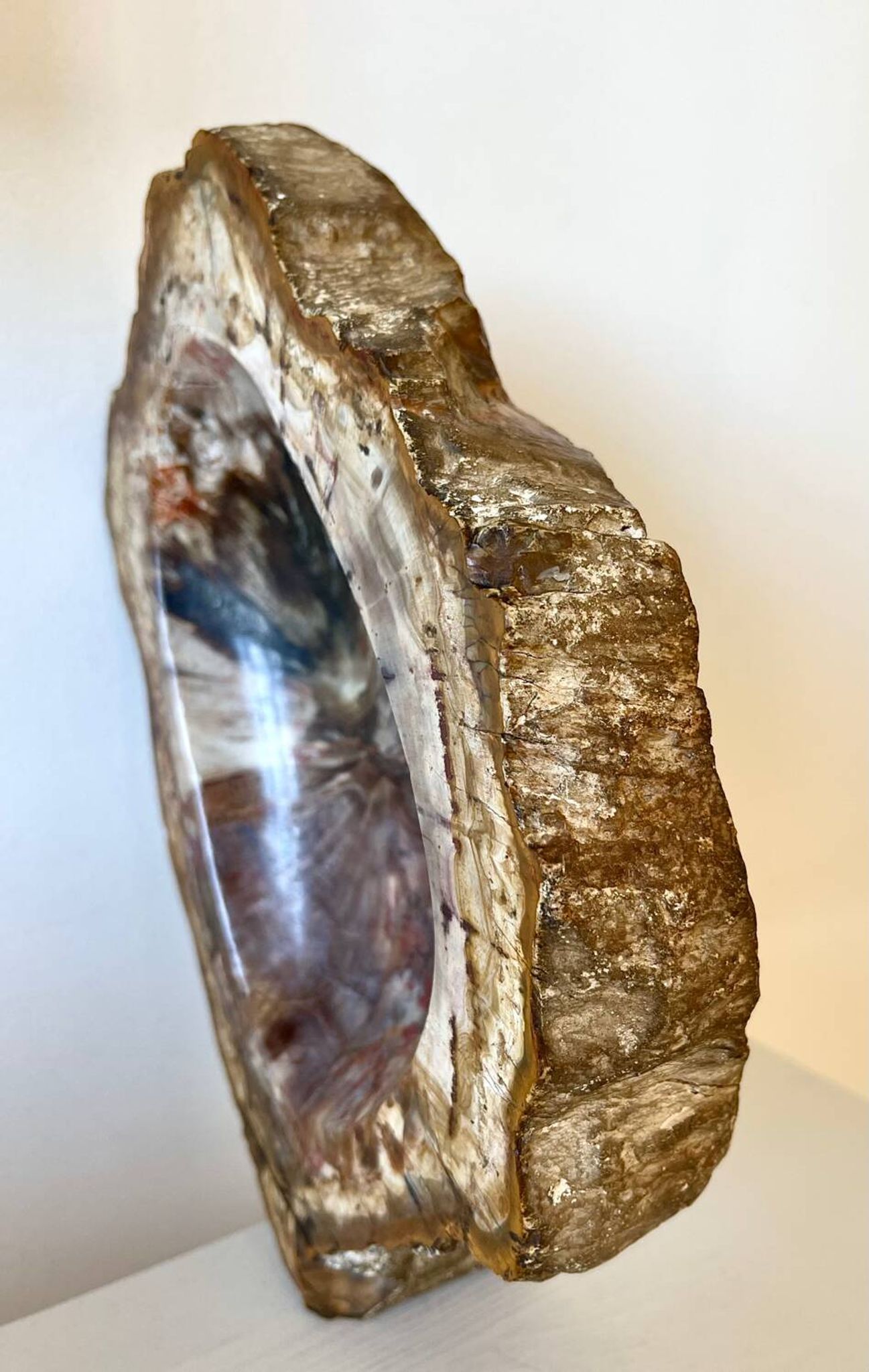 Petrified wood catchall