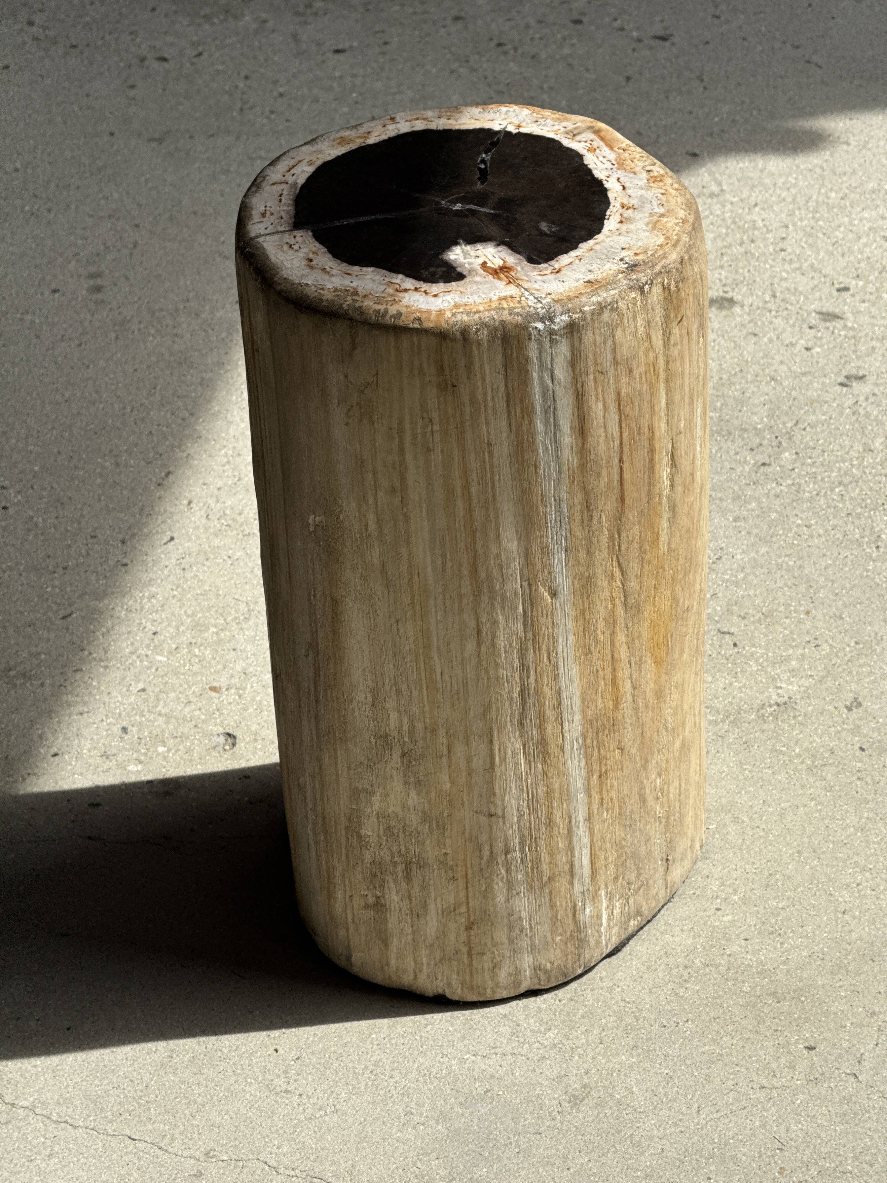 Table d'appoint en bois pétrifié, écorce blanche