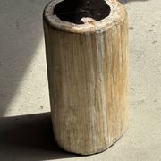 Petrified wood side table, white bark