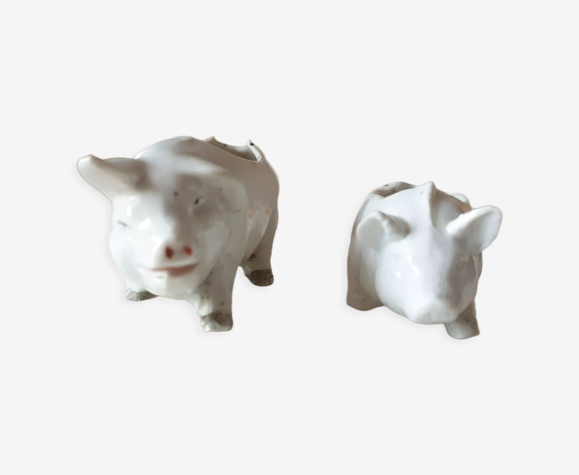 Moutardiers cochons