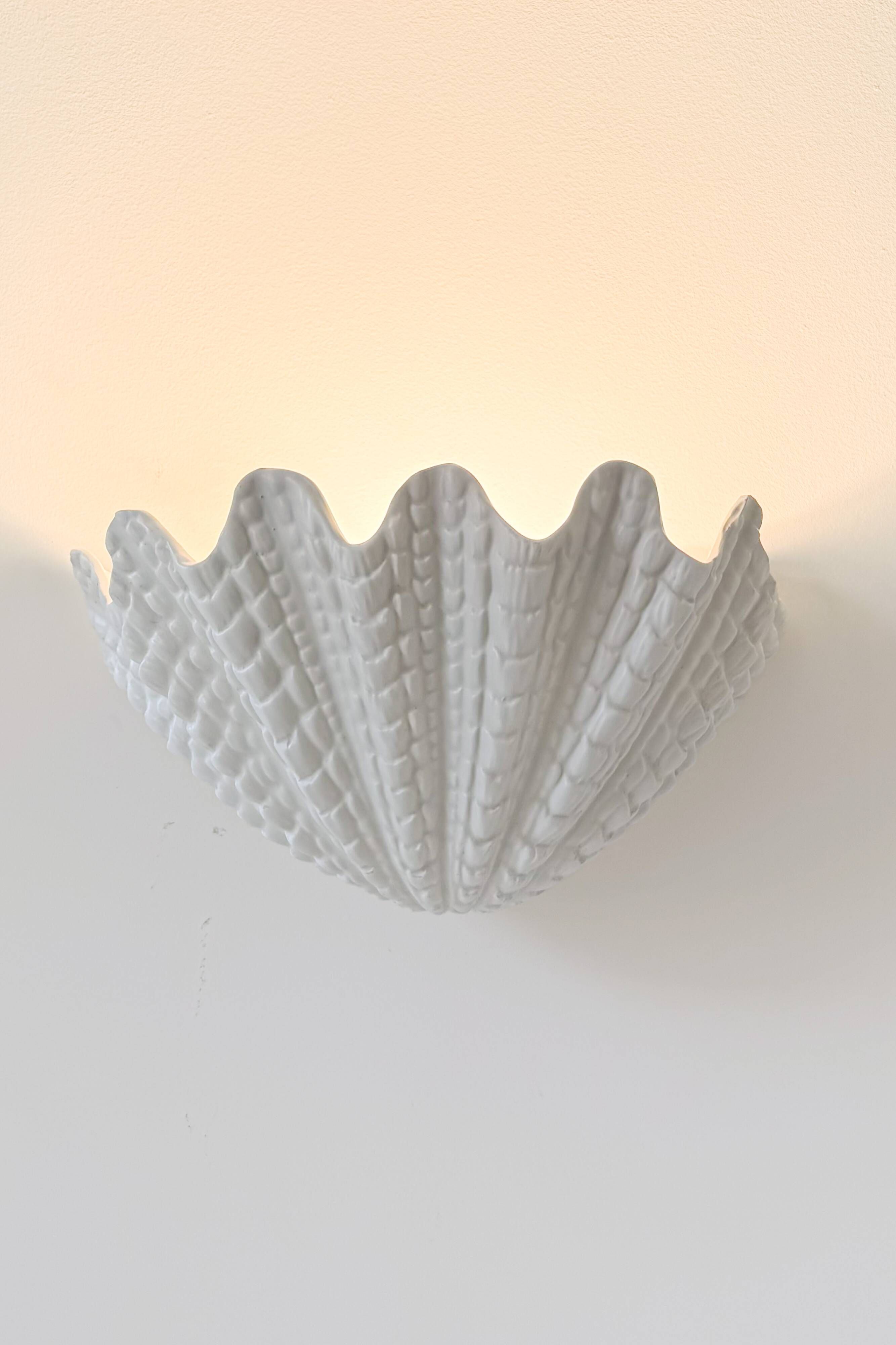 XL vintage shell wall light in plaster, France 1960