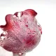 Barovier Toso Murano 1950 Ruby Red Pocket Bowl