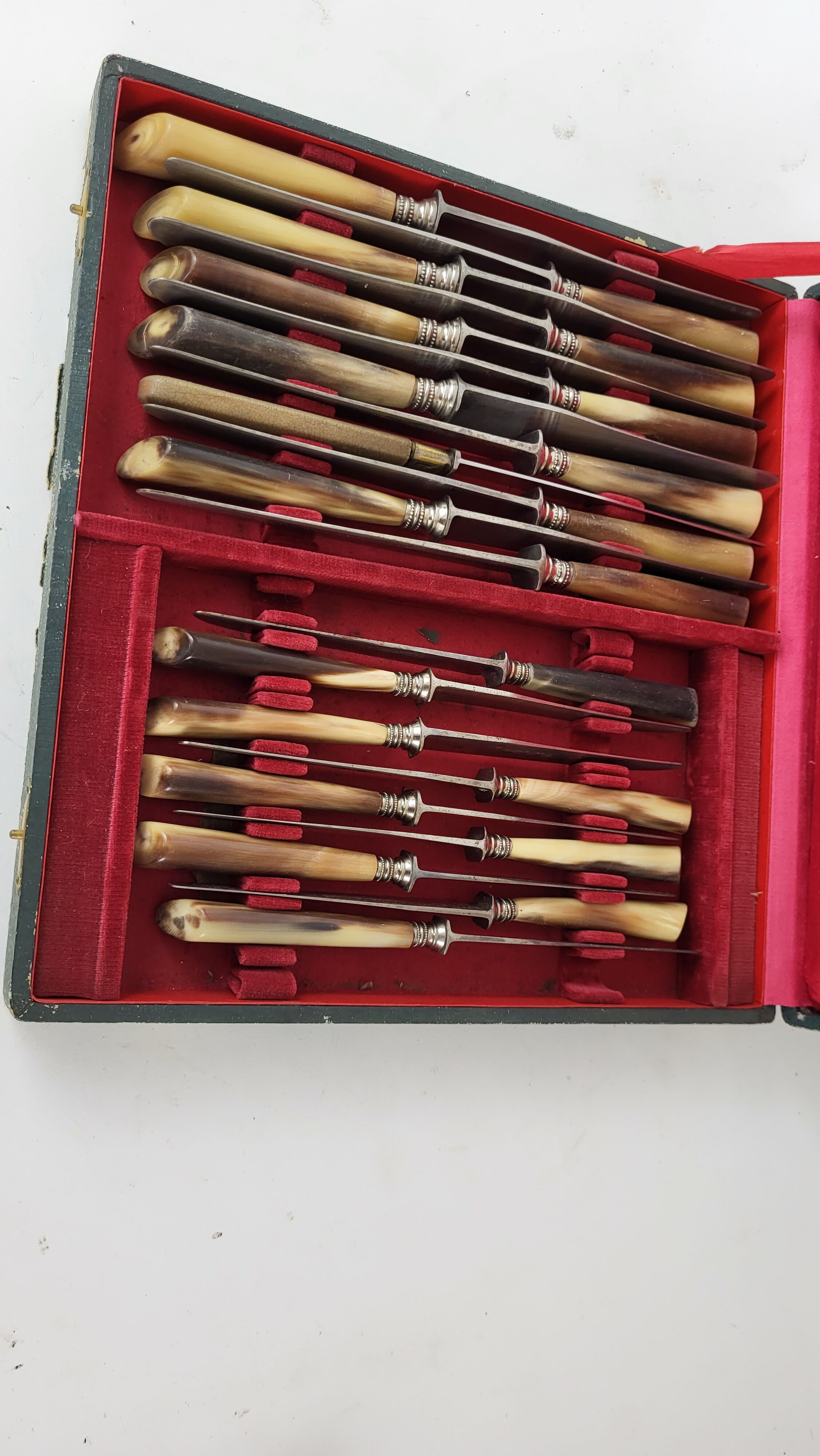 Service 20 table knives blade steel handle horn