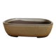 Bonsai pot