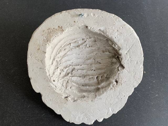 Plaster lion head, early 20th century, Academy of Fine Arts of Saint Gilles, Belgium