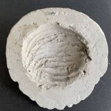 Plaster lion head, early 20th century, Academy of Fine Arts of Saint Gilles, Belgium