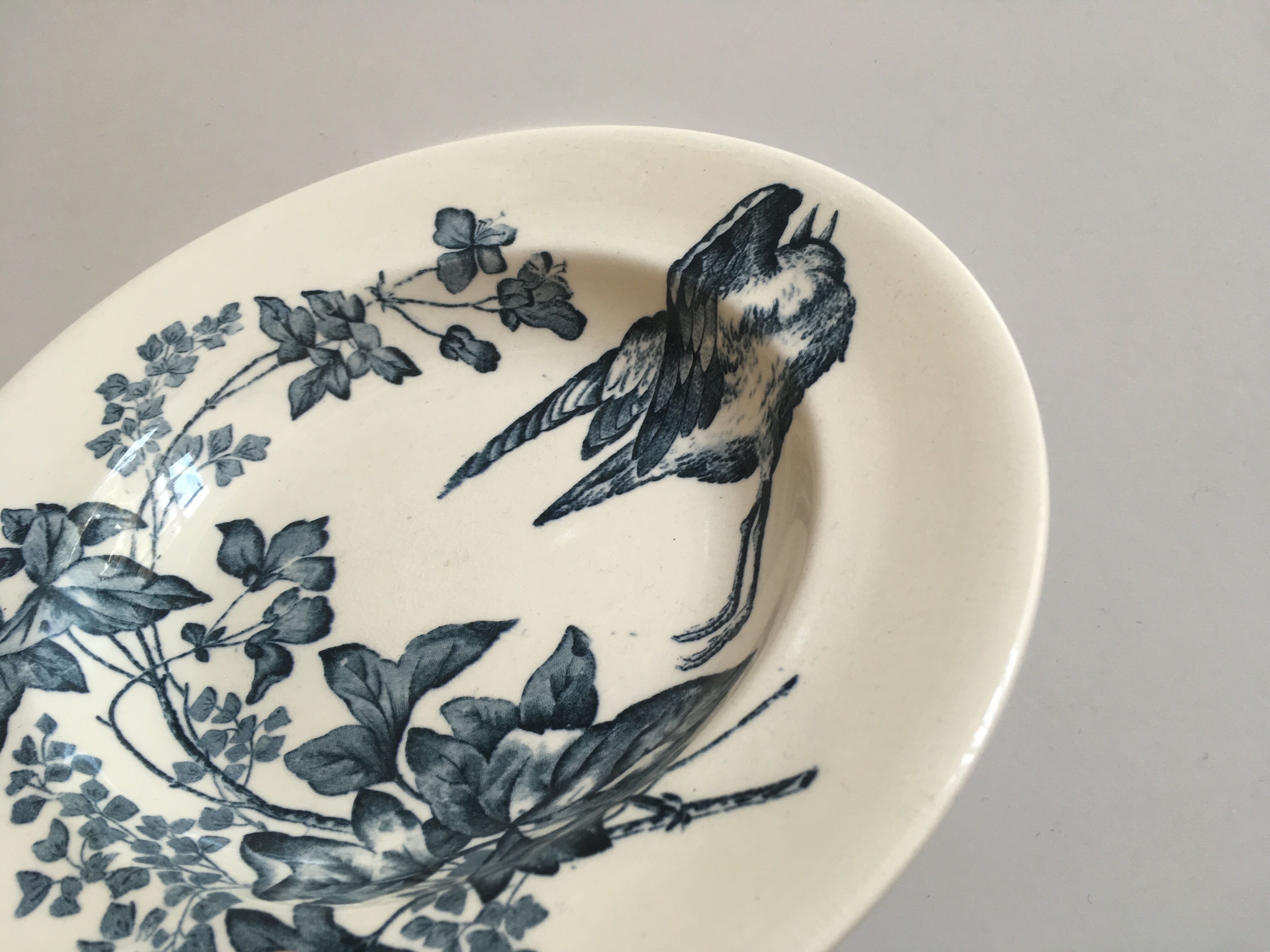 Hollow plates in faience iron earth birds and flowers 19th longwy