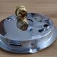 Snail ceiling light 60/70 (free shipping)