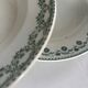 Set of 6 blue and green ironstone deep plates, French earthenware.