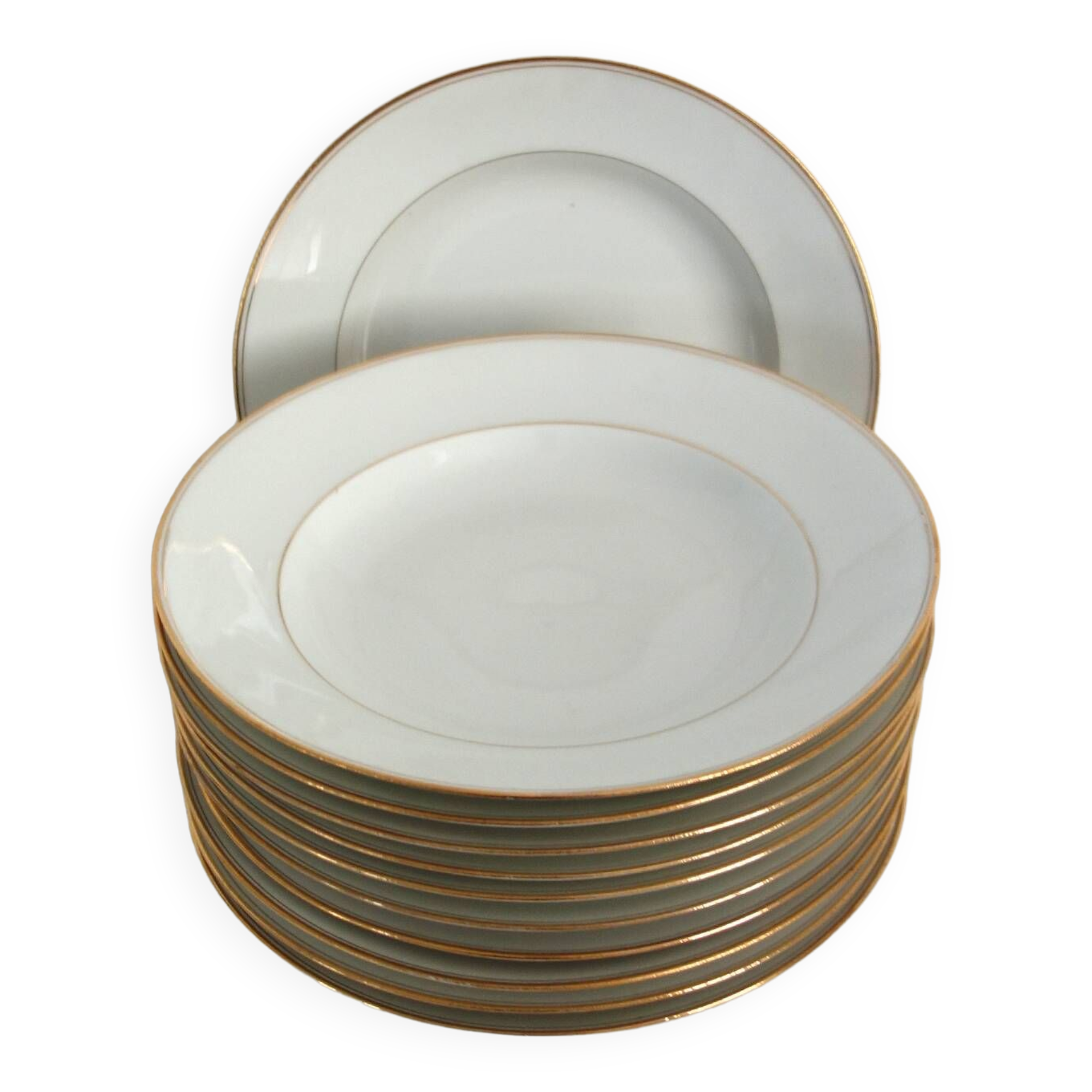 Set of 11 Limoges porcelain soup plates
