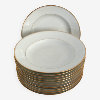 Set of 11 Limoges porcelain soup plates