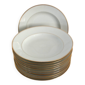 Set of 11 Limoges porcelain soup plates