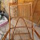 Vintage rattan rocking chair