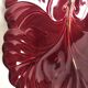 Flat ceramic burgundy vallauris