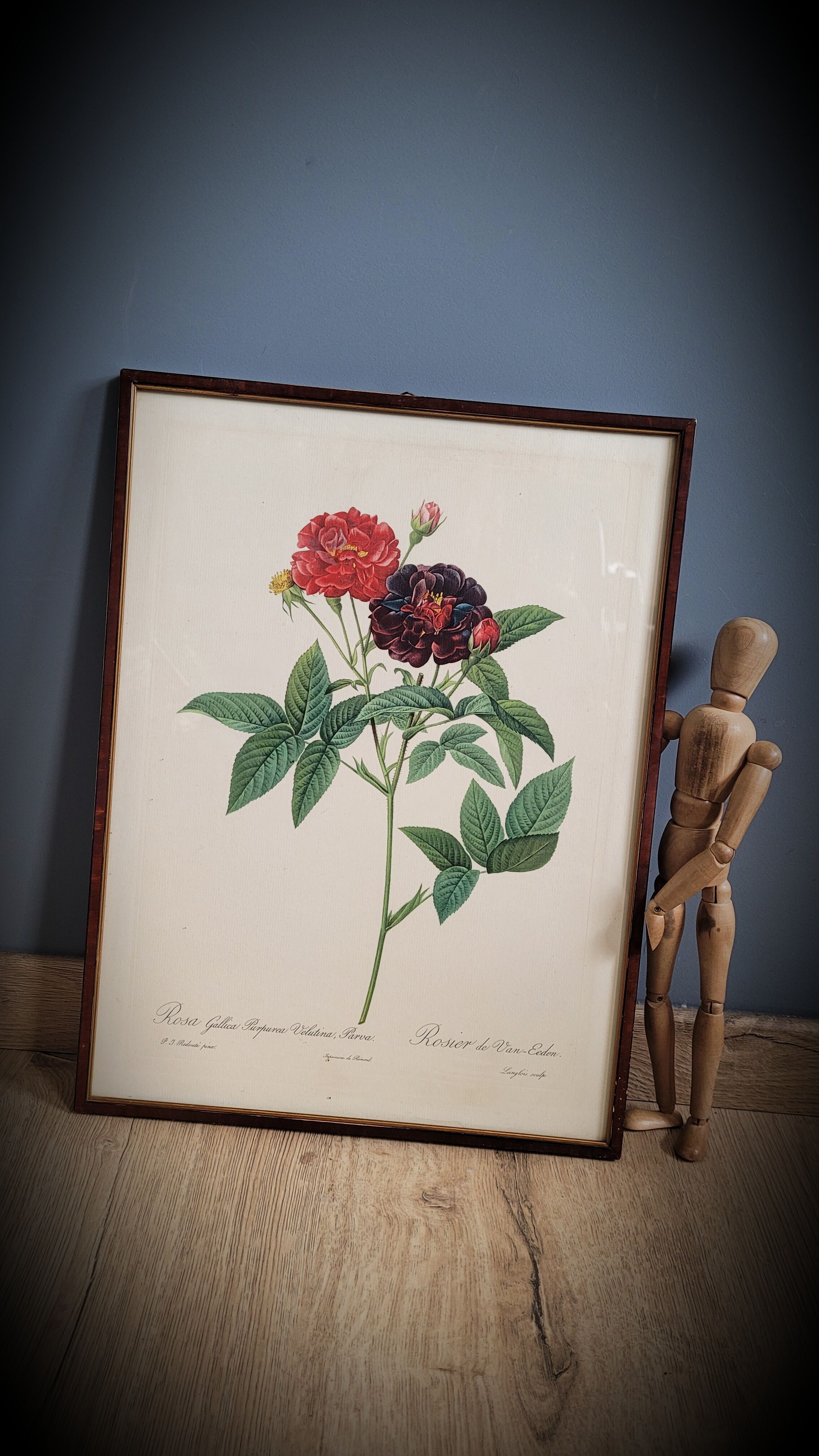 Lithograph frame rose Van Eeden