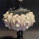Cabinet of Curiosities imperial sea urchin Phyllacanthus imperialis on a base