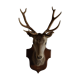 Taxidermy deer head hunting trophy