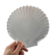 Shellfish and fish plates Arcoroc