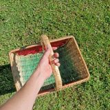 Retro Watermelon Basket
