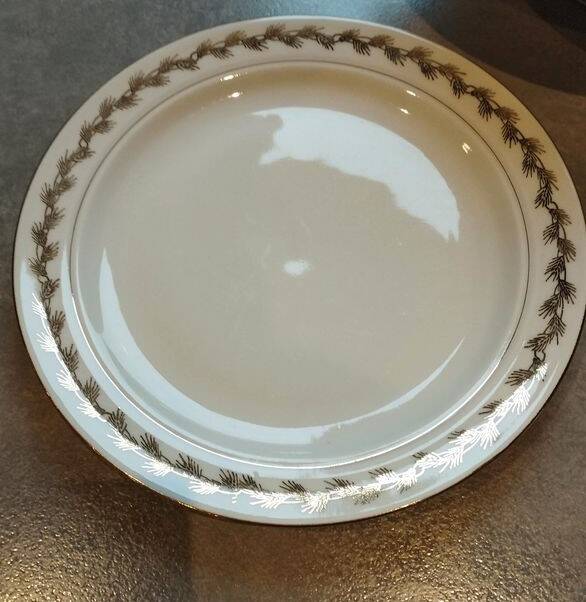 Limoges porcelain dinnerware set