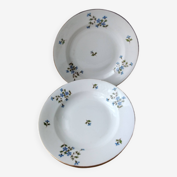 3 Assiettes creuses en porcelaine de Limoges Décor bleuets