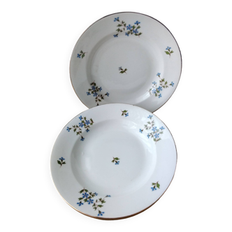 3 Assiettes creuses en porcelaine de Limoges Décor bleuets