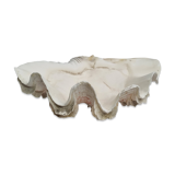 Ancient holy shell, 30 cm