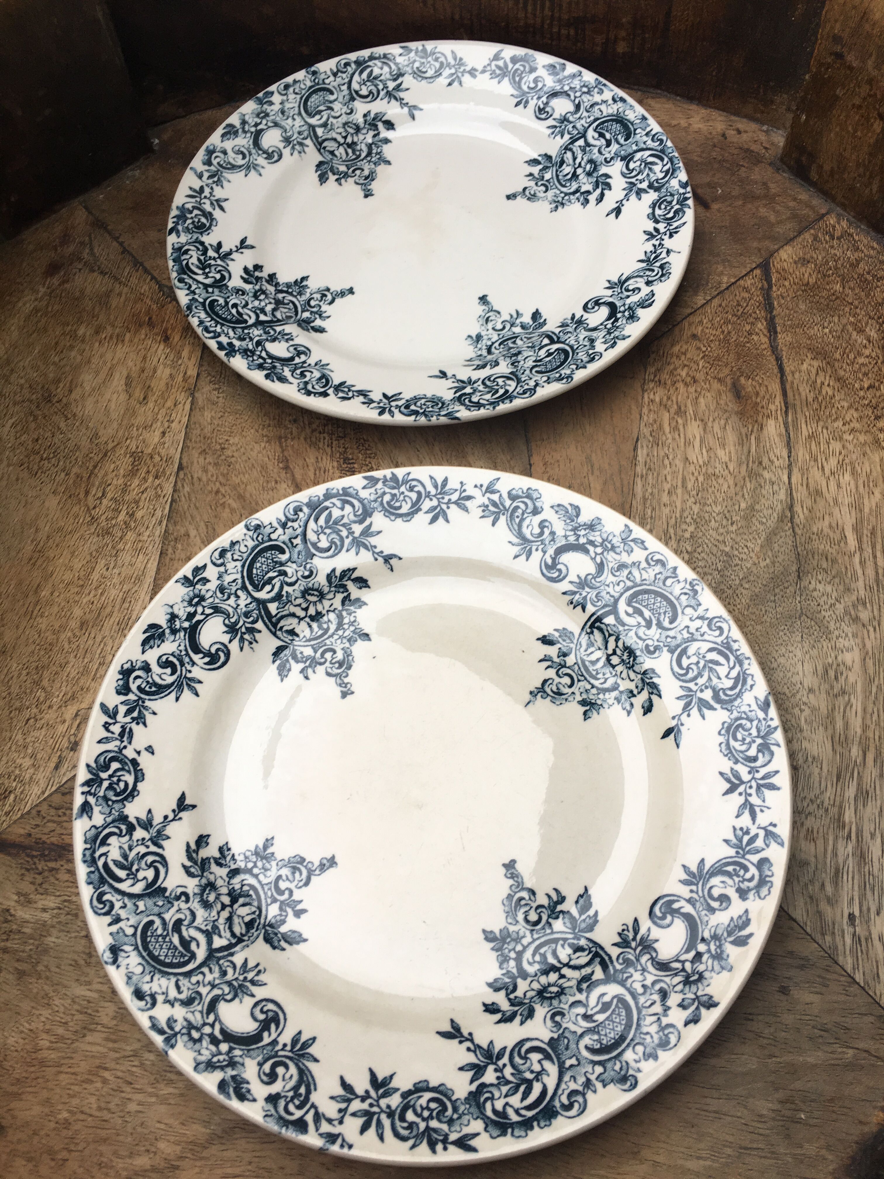 Lot of 2 plates for dessert Terre de Fer décor Louis XV