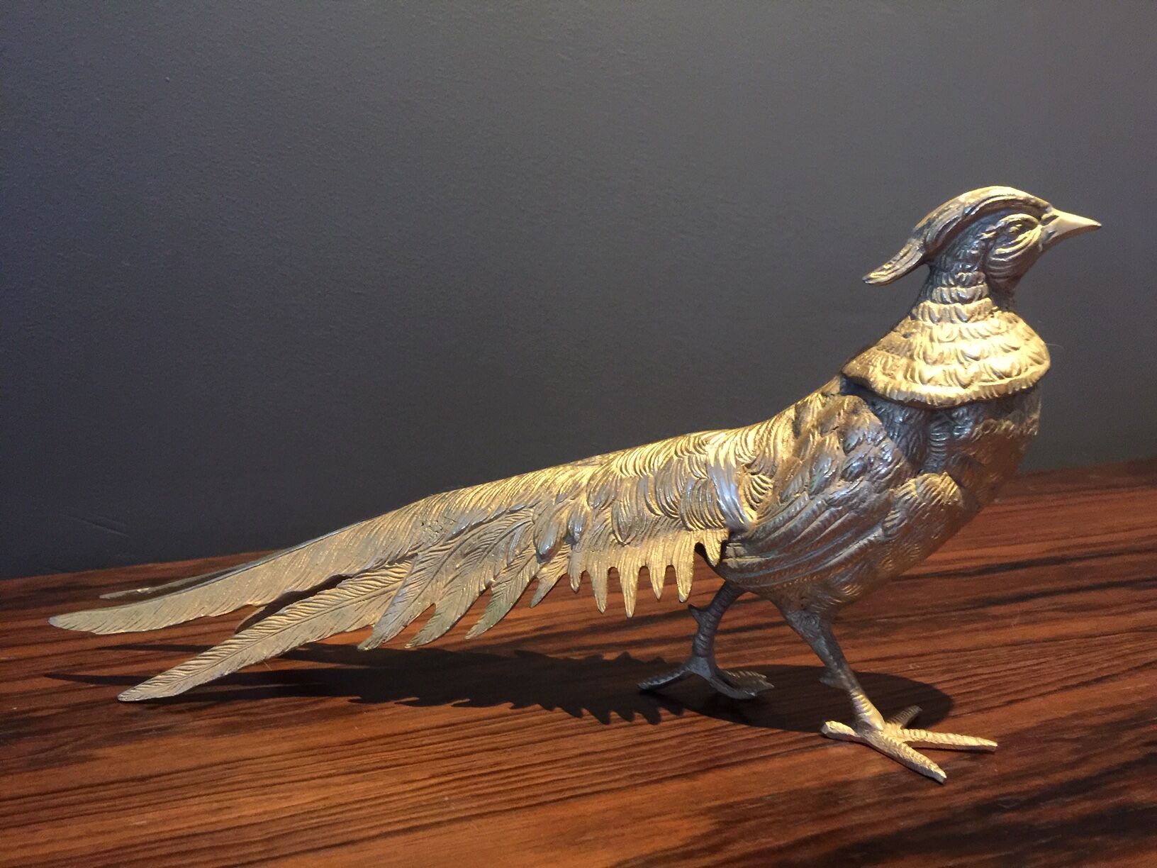 Pair of golden pheasants