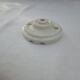 Glass tulip pendant light