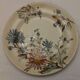 Lot of 13 old earthenware plates "iron earth"