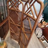 Cane screen