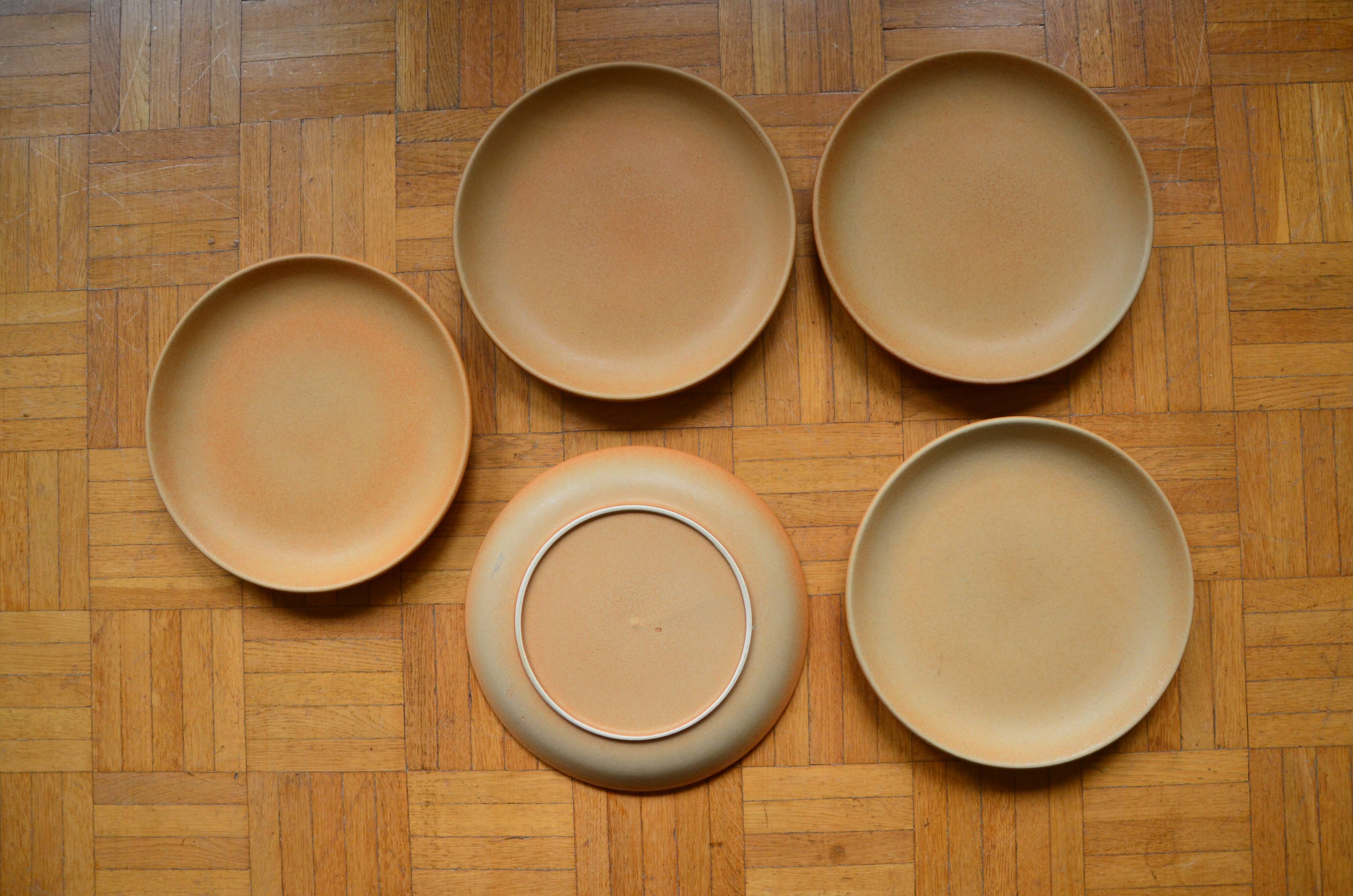 Lot de 5 grandes assiettes plates en grès