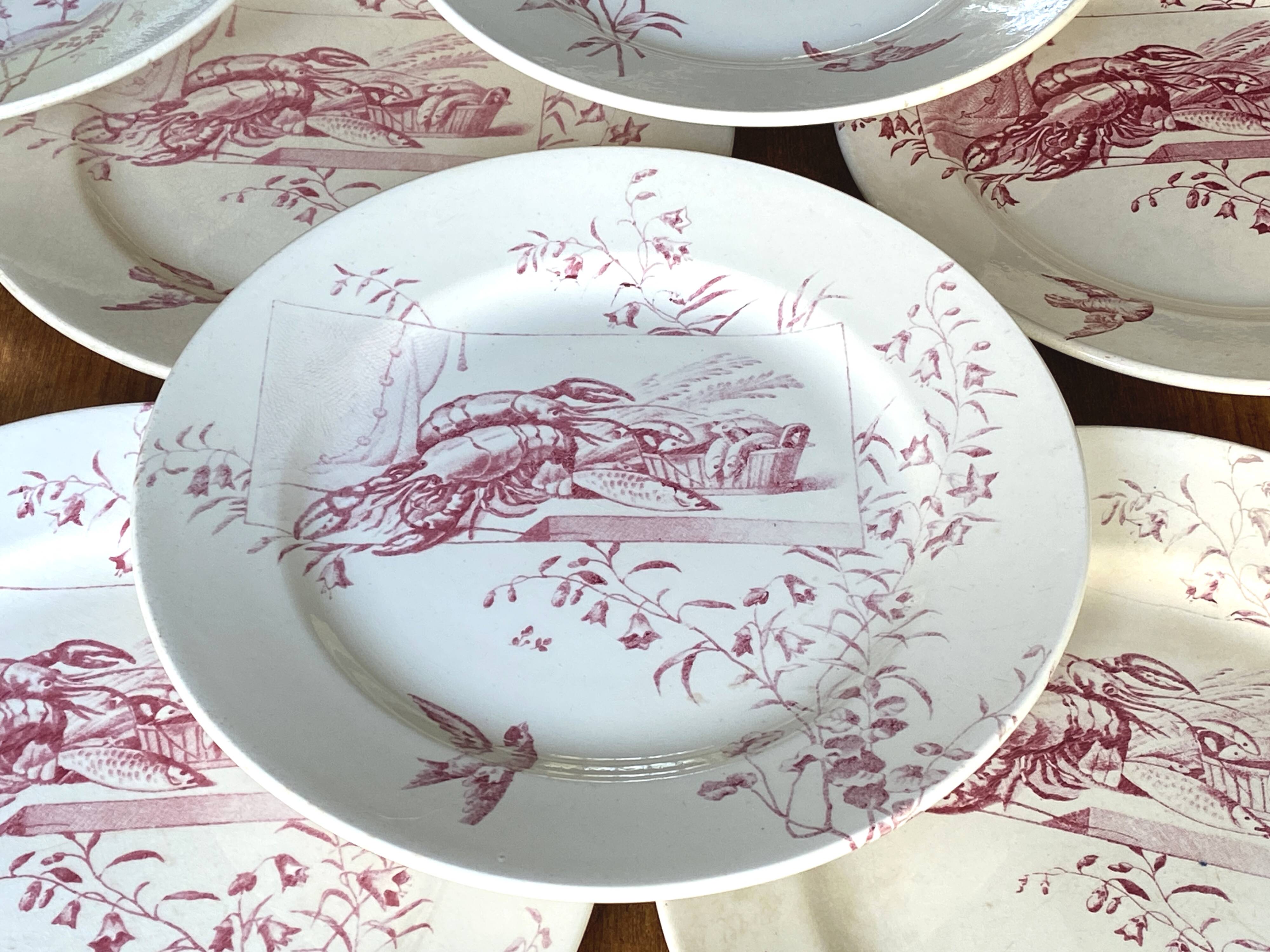 Set of 9 red earthenware plates from Terre de Fer Samaritaine - 19th century.
