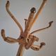 Vintage rattan parrot coat rack, antique furniture for entryway