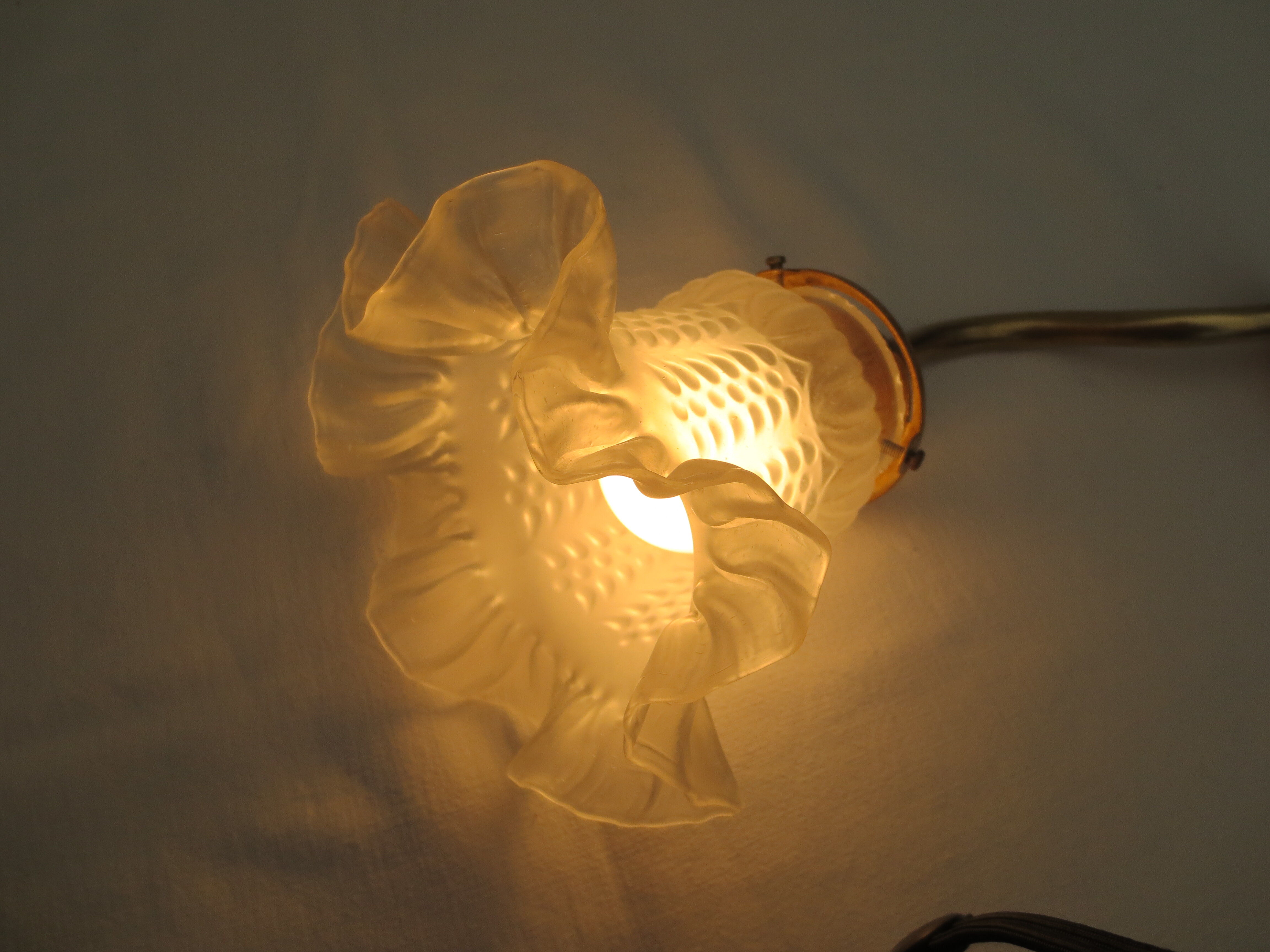 Old gooseneck wall lamp and frosted white glass tulip