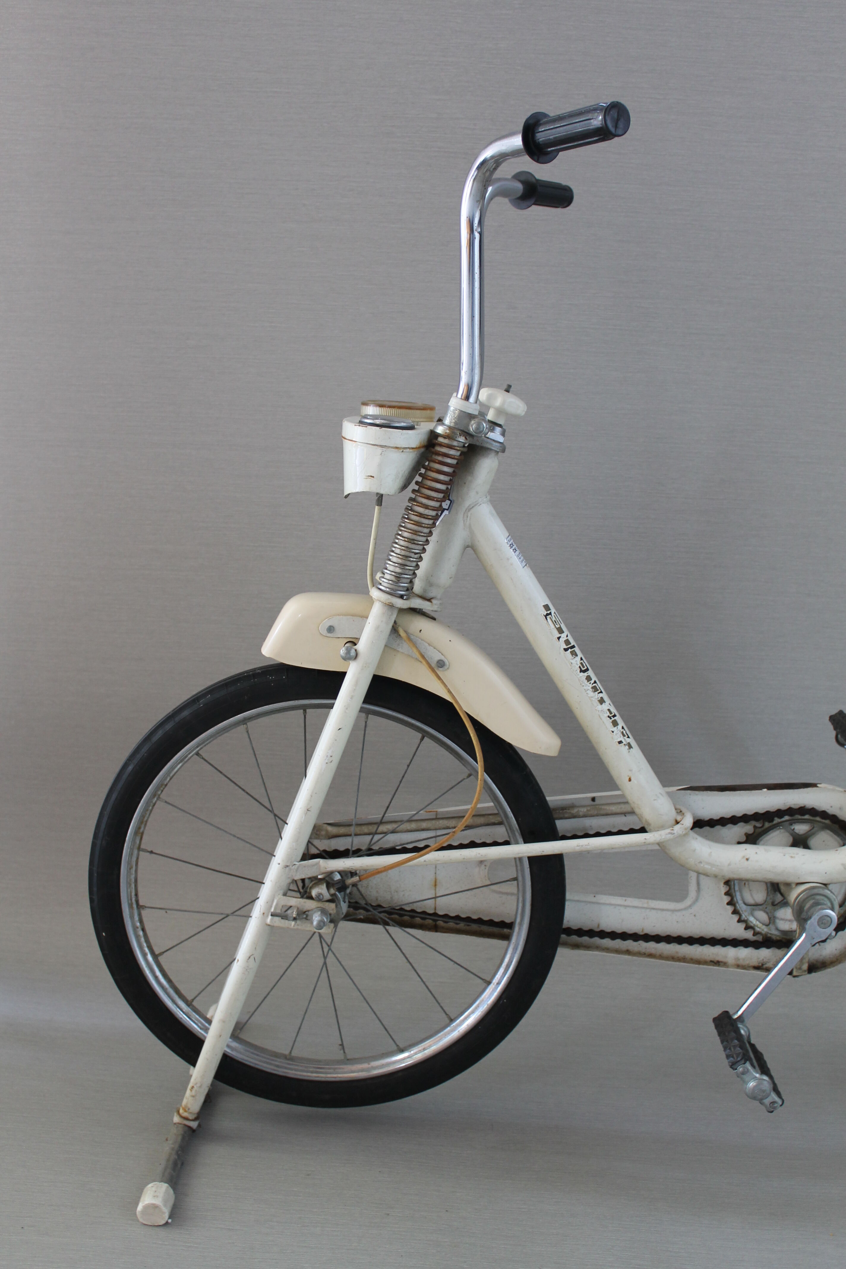 Vintage indoor bike